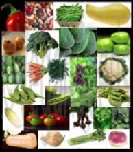 27 seed varieties