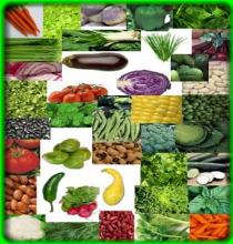 47 seed variety packs