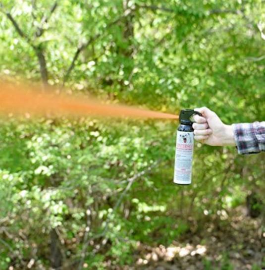 bear spray