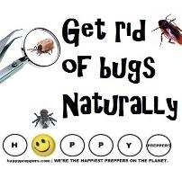 How to get rid of bugs naturally