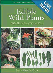 Edible Wild Plants