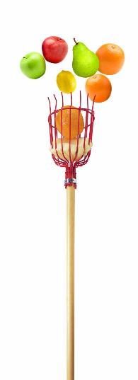 Fruit harvester picker