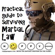 Martial law - a practical guide to surviving