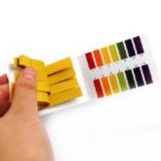 ph strips