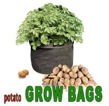 Potato grow bags
