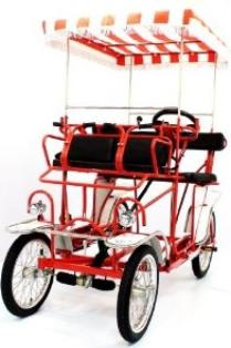 Surrey four wheeled bike