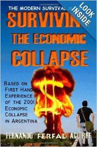 Surviving the Economic Collapse