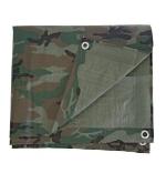 Prepper's Tarp