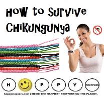 How to Survive Chikungunya