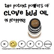 How to use clove bud oil in prepping