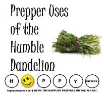 Prepper Uses of the Humble Dandelion