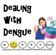 Dealing with mosquites and dengue