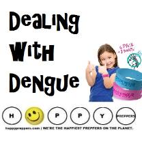 Dealing with mosquites and dengue