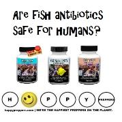 Are fish antibiotics safe for humans?