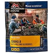 Granola with milk and blueberries