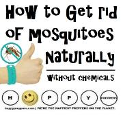 How to get rid of mosquitoes naturally