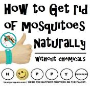 How to get rid of mosquitoes naturally