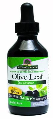 Olive leaf