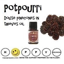 Thieves oil
