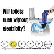 Will toilets flush without electricity?