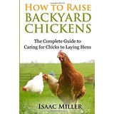 How to raise backyard chickens