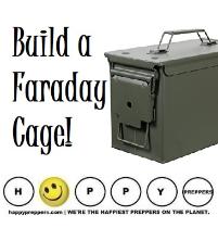 Build a Faraday Cabe