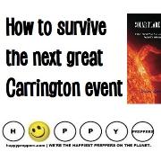 How to survive the next Carrington Event