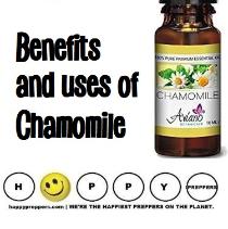 Benefits and uses of chamomile