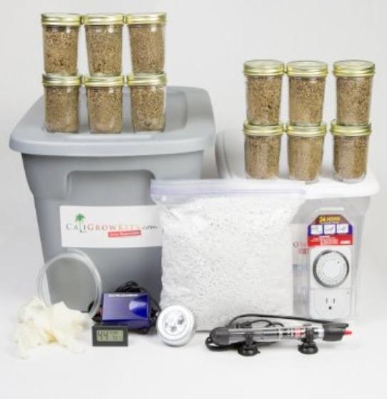 Deluxe mushroom kit