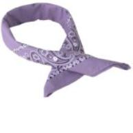 Insect repelling bandana