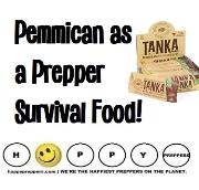 Pemmican as a prepper survival food