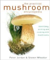 All about mushrooms