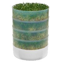 Seed sprouter Prepper's essential