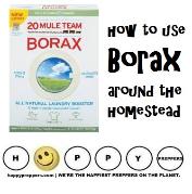 How to us Borax around the homestead