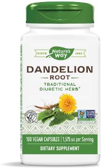 Dandelion Root as a diuretic herb