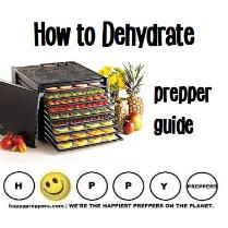 Prepper's guide on how to dehydrate foods