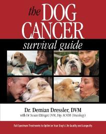 Dog cancer survival