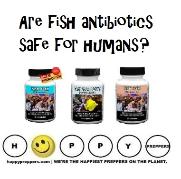 Are fish antibiotics safe for humans?