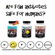 Are fish antibiotics safe for humans?