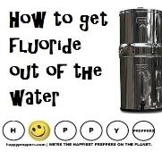 how to get fluoride out of the water