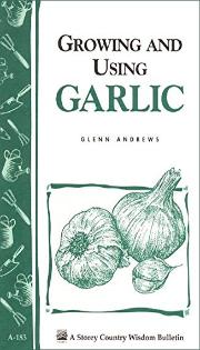 Growing and using garlilc