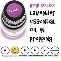 How to use lavender essential oil in prepping