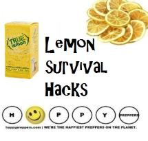 Lemon Survival Hacks