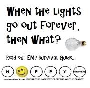 When the lights to out forever, then what?