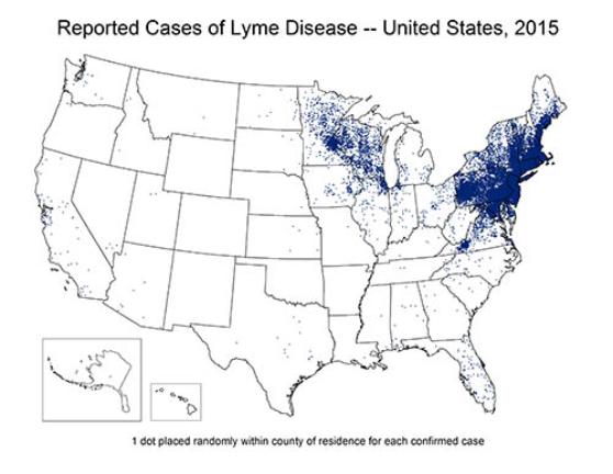 2015 map of Lyme Disease cases