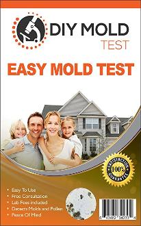 How to test and get rid of mold