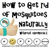 How to get rid of mosquitoes naturally