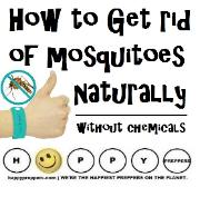 Mosquitoes