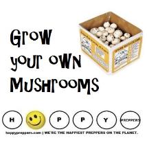 Grow your own mushrooms