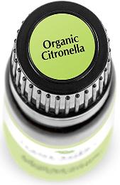 Organic citronella by Plant Therapy